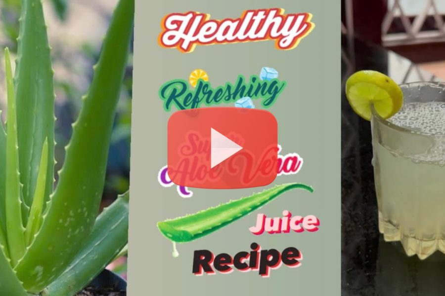 Healthy and Refreshing Aloevera Juice Recipe