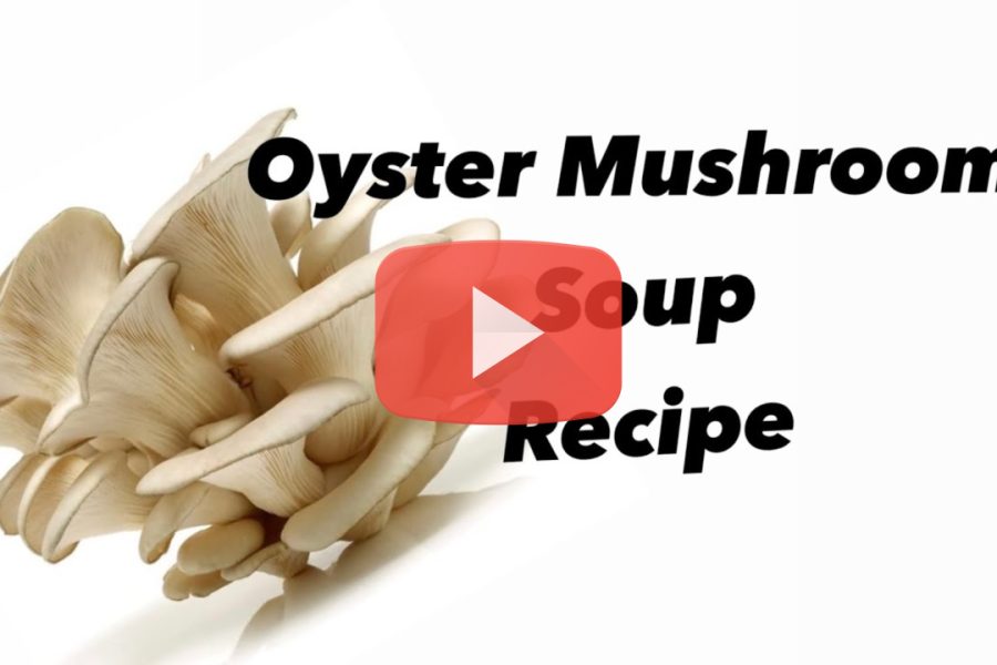 Oyster mushroom Soup recipe (Malayalam)